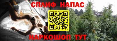 крисы Малоярославец