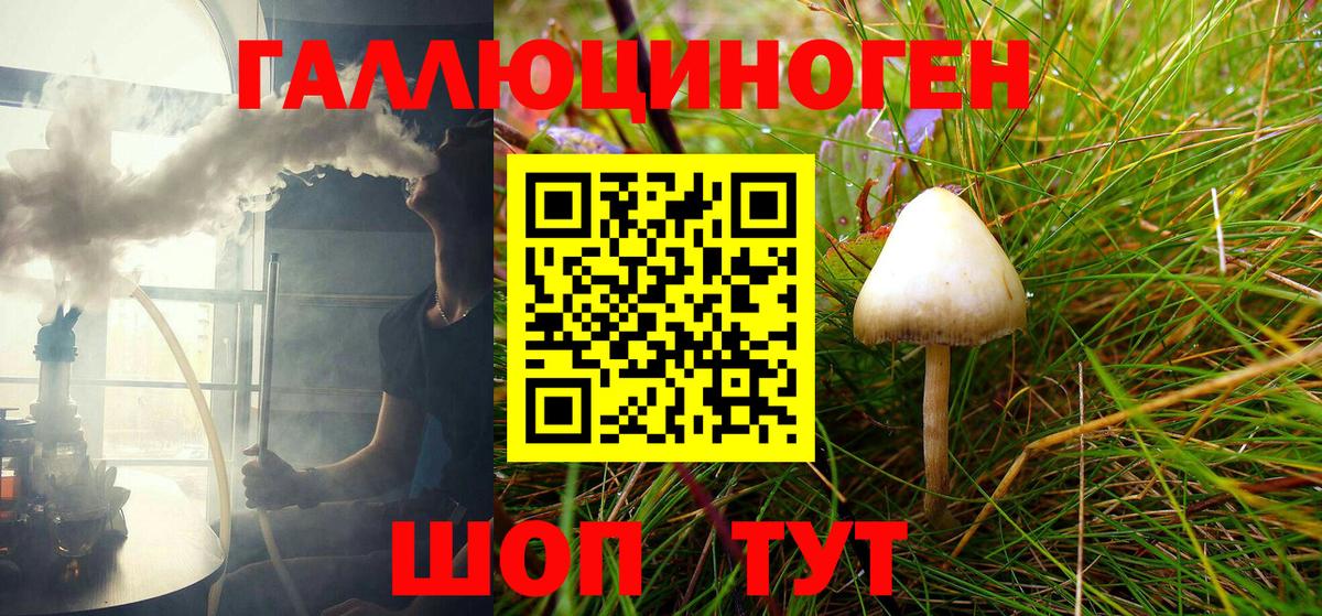 Галлюциногенные грибы GOLDEN TEACHER  Вход с VPN  Гатчина 