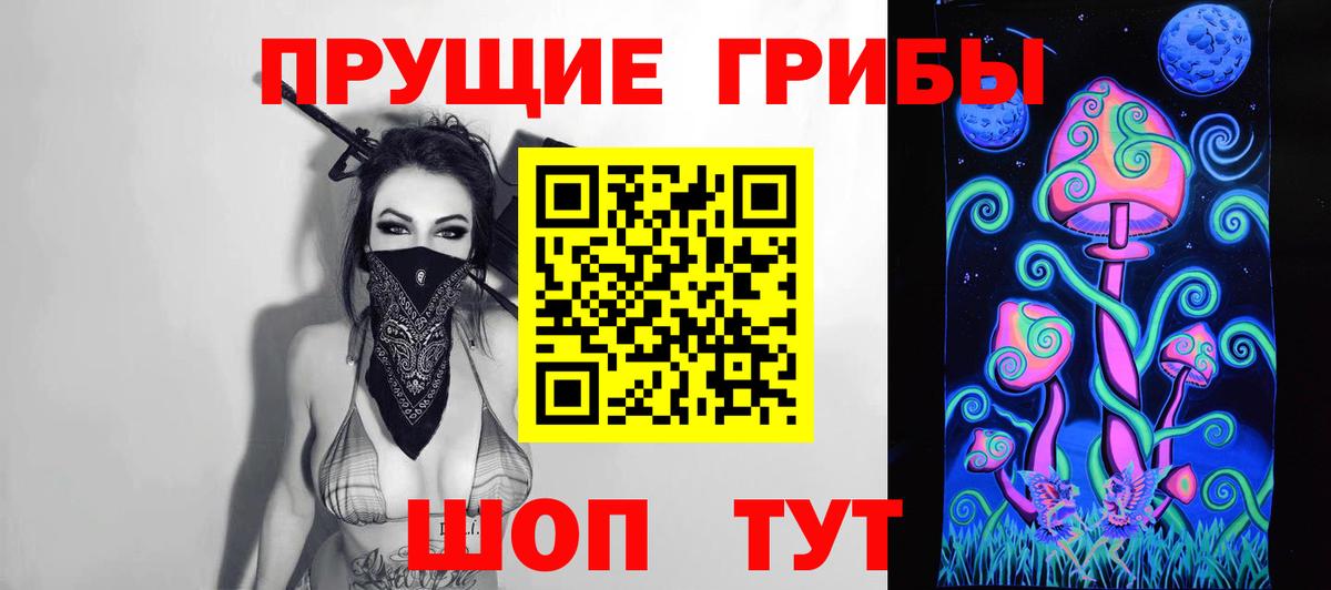 Псилоцибиновые грибы мицелий Гатчина